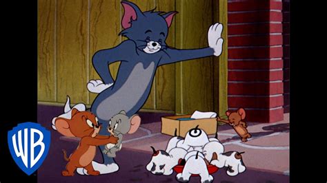 Tom Et Jerry En Français Classiques Du Dessin Animé 118 Wb Kids