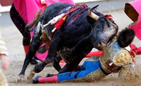 Bullfighter Daniel García Navarrete Gored Four Times In Madrid Metro News