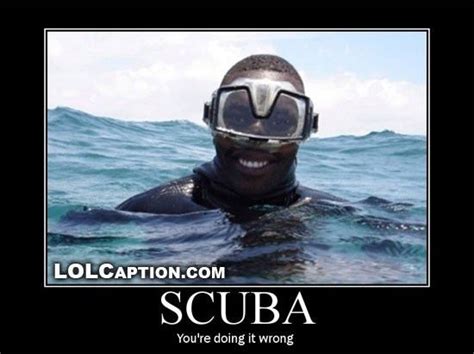 Pin By Tere Koeneke On Funny Scuba Diving Quotes Diving Scuba Diving