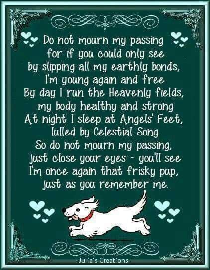 Dog Going To Heaven Poem Ade