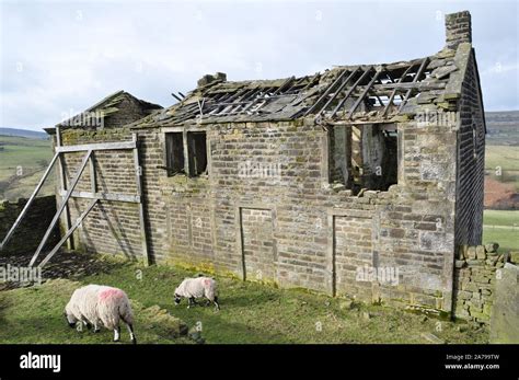 Derelict Farmhouse Haworth Moor Bronte Country Stock Photo Alamy