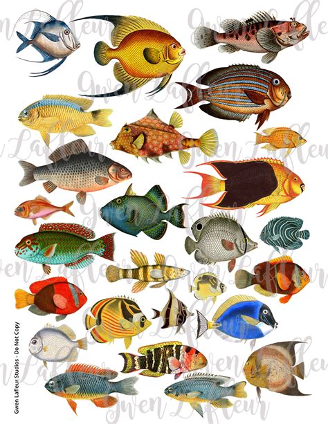 Stupendous Sea Life Downloadable Collage Cut Outs Gwen