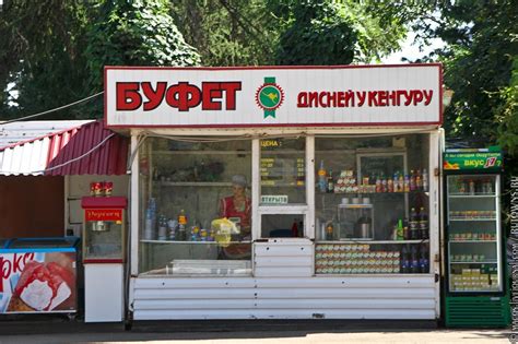 Ирбиса также называют снежным барсом и снежным леопардом. Казанский зоопарк: в гости к барсу и бегемоту: macos ...
