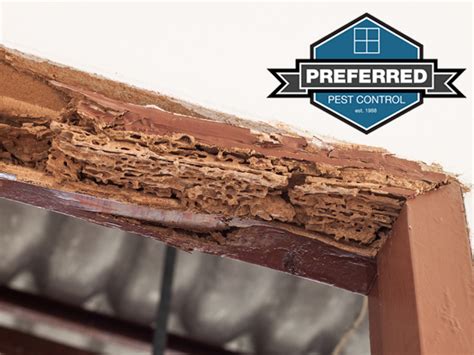 A2z pest control has set the standard for pest control in the pittsburgh area. Termites in Non-Typical Structures | Savannah's Leading ...