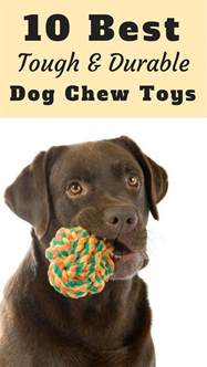 10 Best Toughest Durable Dog Toys For Heavy Chewers