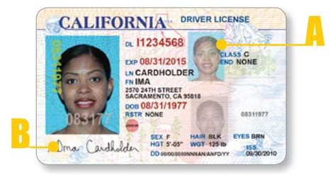 Fake South African Drivers License Template Waybooster
