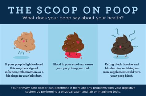 The Scoop On Poop What Does Your Poop Say About Your Health Healthy