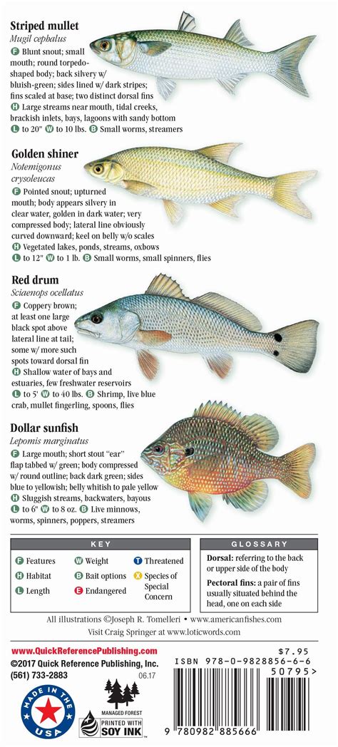 Freshwater Fishes Of Florida Quick Reference Publishing Retail