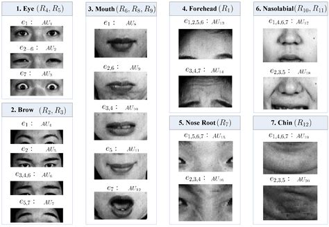 sensors free full text active au based patch weighting for facial expression recognition