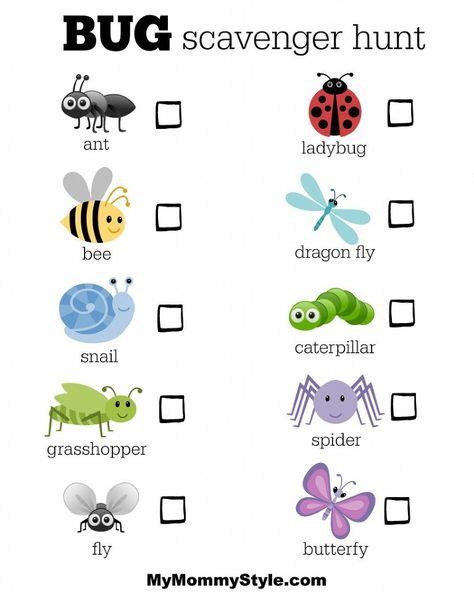 Las Mejores 8 Ideas De Insectos En Ingles Insectos En Ingles