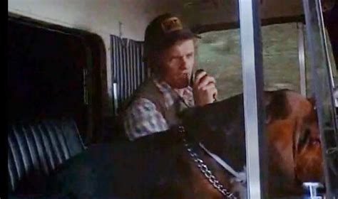 There are really only a. Truck Driver Songs: Jerry Reed "The Bandit"