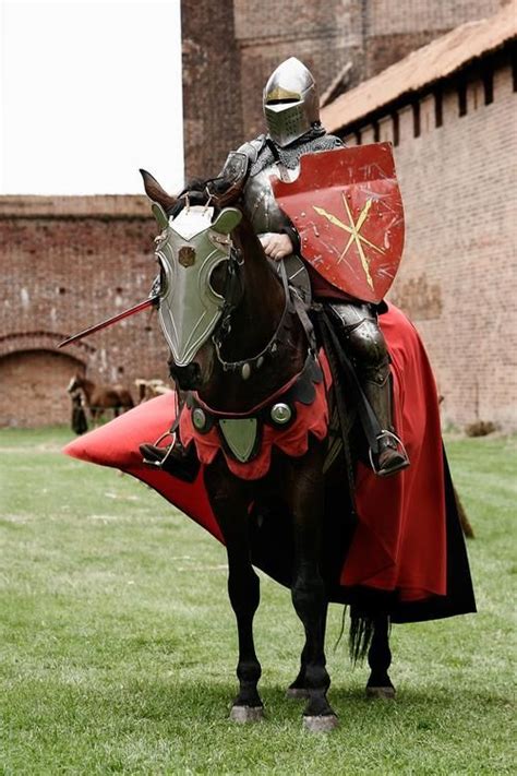 Medieval Knights Red Knight Ridders Middeleeuwse Ridder