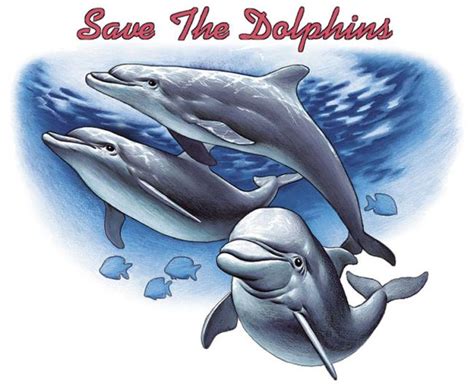 Save The Dolphins Animals And Wildlife Transfer