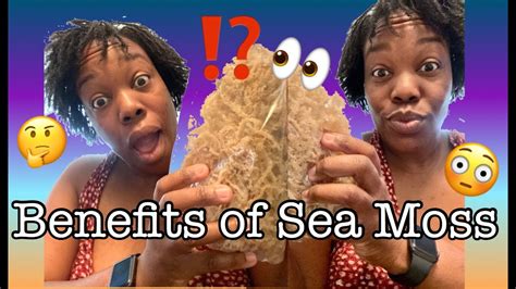 Maybe you would like to learn more about one of these? Shopping For Sea Moss|Plus the benefits & How to Make a ...