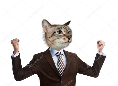Business Man Cat Head — Stock Photo © Hasloo 45371699