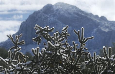Photos Snowfall In Tucson Arizona California Latest News
