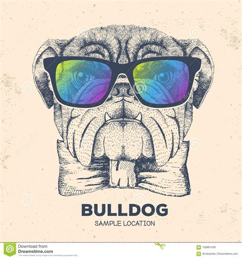 Hipster Animal Bulldog Stock Illustrations 1326 Hipster Animal