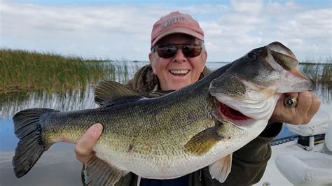 Trophy Lake Okeechobee Bass Out Of Clewiston Florida