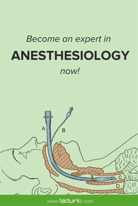 Airway Management In Anesthesia Lecturio Online Medical Library