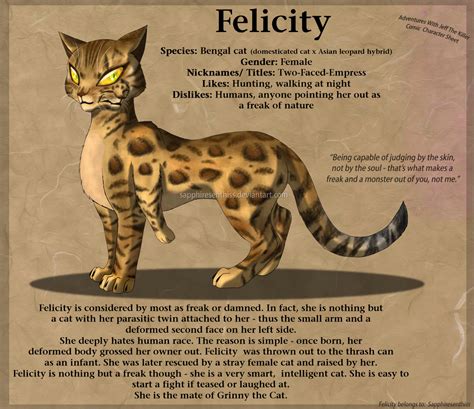 Awjtk Comic Character Sheet Felicity The Cat By Sapphiresenthiss On