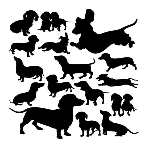 Premium Vector Dachshund Dog Animal Silhouettes