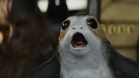 What Are Porgs The New ‘star Wars Trailer Just Gave Us Its First
