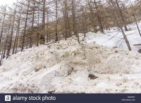 Swiss Avalanche Hi Res Stock Photography And Images Alamy