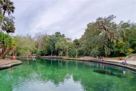 Wekiwa Springs State Park Swimming Near Orlando 🌴 Central Florida