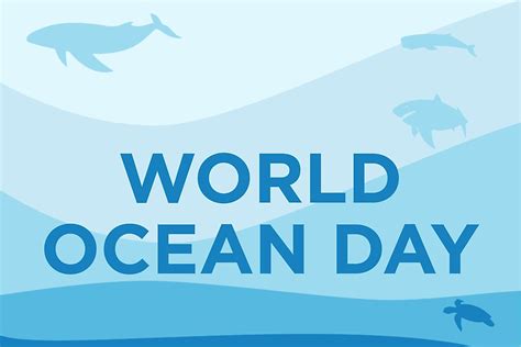 When And Why Is World Oceans Day Celebrated Worldatlas