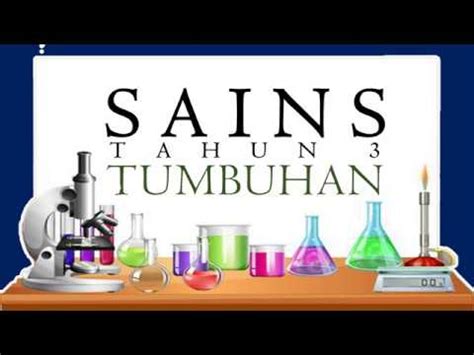 Akar jangkang pokok bakau menyediakan perlindungan kepada hidupan laut. Pembiakan Tumbuh-Tumbuhan | Sains | Tahun 3 - YouTube