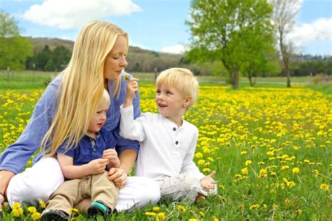 Mother And Children Sitting Outside In Dandelion Flower Meadow Stock