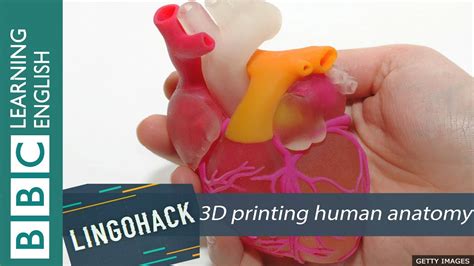 3d Printing Human Anatomy Lingohack Youtube
