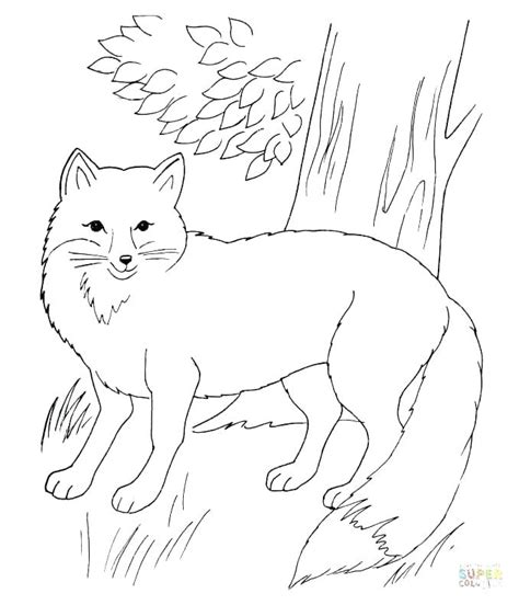 Arctic Fox Coloring Page at GetColorings.com | Free printable colorings