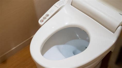 Guide To Japanese Toilets For Your Home Racv