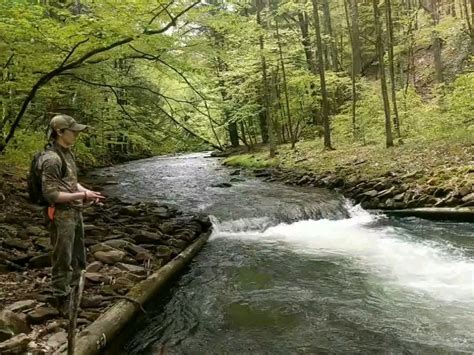 Fishing A Trout Stream In Central Pa Rfishing