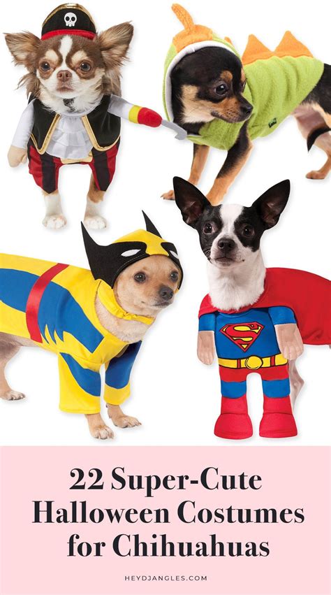 22 Super Cute Halloween Costumes For Chihuahuas In 2020 Dog Halloween