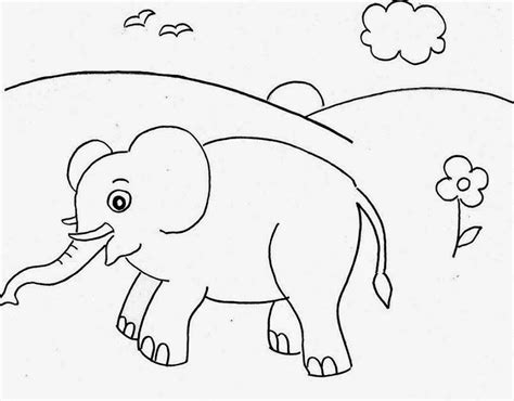 Check spelling or type a new query. Kumpulan gambar untuk Belajar mewarnai: Gambar Hewan ...