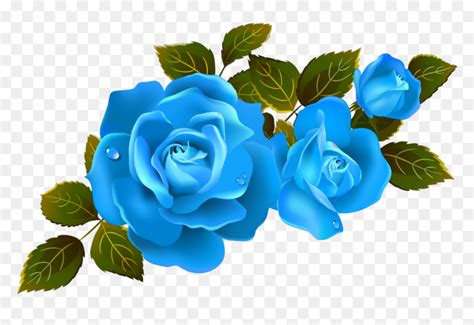Name fröhliche sonne png,transparenter hintergrund sonne cartoon transparent png. Mq Blue Roses Rose Flower Flowers - Clipart Roses ...