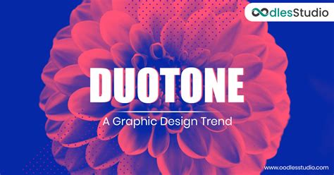 All You Need To Know About Duotone A Graphic Design Trend