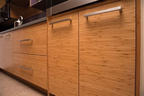 Bamboo Cabinets Kitchen Design Anipinan Kitchen