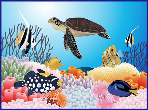 This video is about how to draw sea creatures in easy steps. Ocean Life Clipart - Clipart Suggest