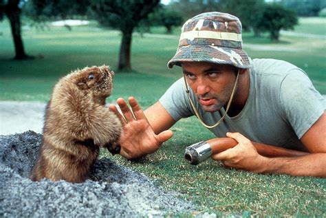 Gophers Bill Murray And White Lines Caddyshack Facts The Vintage