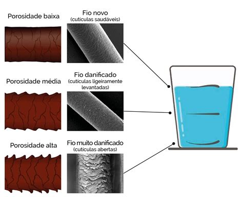 Como Determinar A Porosidade Do Cabelo Id Pulse