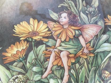 Heinrich Flower Fairies Plate The Marigold Fairy By Popeth On Etsy