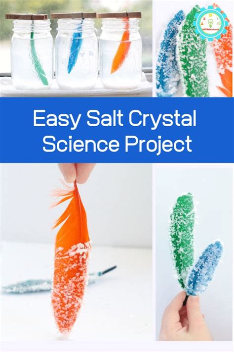 Simple Science Projects How To Make Salt Crystal Feathers Easy