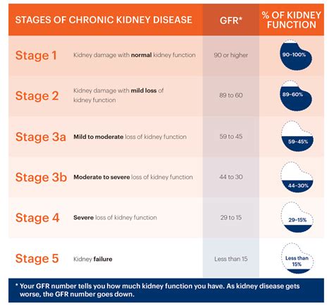 Stages of Chronic Kidney Disease – Purivo Dialysis Center