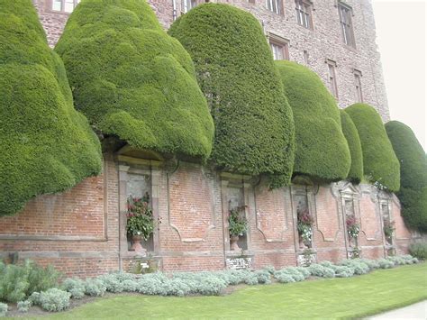 Powis Castle Topiaried Yew Trees English Garden Design Topiary