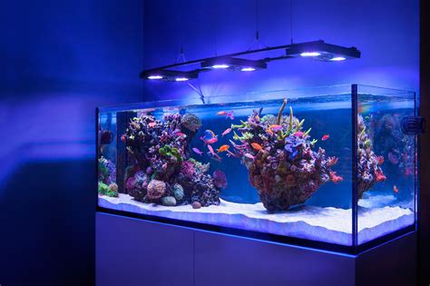 Below are 49 working coupons for aquarium tank for sale discount from reliable websites that we have updated for users to get maximum savings. E-MRocks 400 - bond Marco Rocks into amazing aquascapes ...