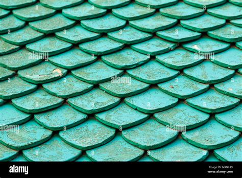 Green Roof Tiles Hi Res Stock Photography And Images Alamy