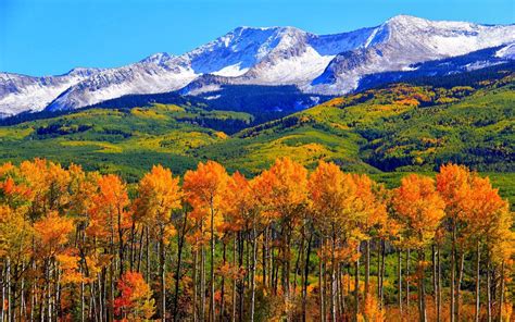 Autumn Colorado Fall Snowy Mountains Nature Landscape Hd Wallpaper 1920x1200